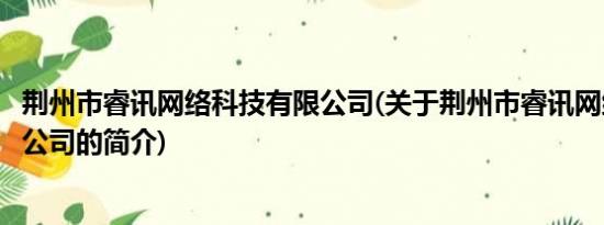 荆州市睿讯网络科技有限公司(关于荆州市睿讯网络科技有限公司的简介)