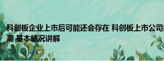 科创板企业上市后可能还会存在 科创板上市公司掀罕见回购潮 基本情况讲解