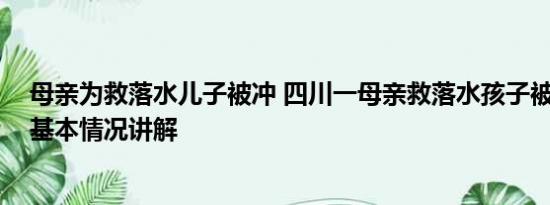 母亲为救落水儿子被冲 四川一母亲救落水孩子被冲走失联 基本情况讲解