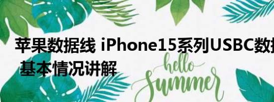 苹果数据线 iPhone15系列USBC数据线曝光 基本情况讲解