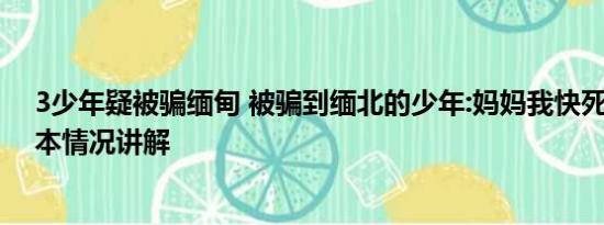 3少年疑被骗缅甸 被骗到缅北的少年:妈妈我快死在这了 基本情况讲解