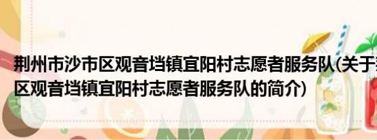 荆州市沙市区观音垱镇宜阳村志愿者服务队(关于荆州市沙市区观音垱镇宜阳村志愿者服务队的简介)