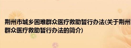 荆州市城乡困难群众医疗救助暂行办法(关于荆州市城乡困难群众医疗救助暂行办法的简介)