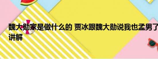 魏大勋家是做什么的 贾冰跟魏大勋说我也孟男了 基本情况讲解