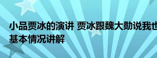 小品贾冰的演讲 贾冰跟魏大勋说我也孟男了 基本情况讲解