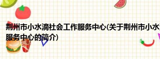 荆州市小水滴社会工作服务中心(关于荆州市小水滴社会工作服务中心的简介)