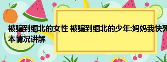 被骗到缅北的女性 被骗到缅北的少年:妈妈我快死在这了 基本情况讲解