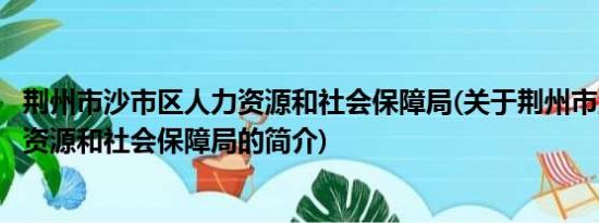 荆州市沙市区人力资源和社会保障局(关于荆州市沙市区人力资源和社会保障局的简介)