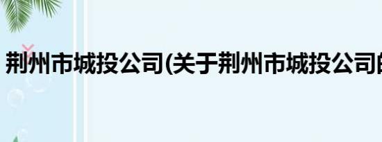 荆州市城投公司(关于荆州市城投公司的简介)