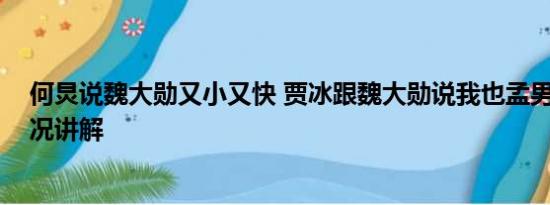 何炅说魏大勋又小又快 贾冰跟魏大勋说我也孟男了 基本情况讲解