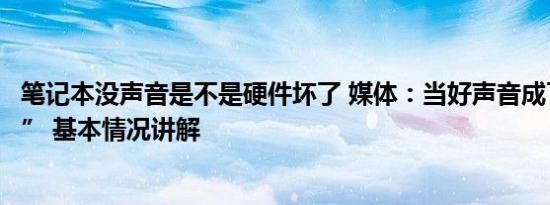 笔记本没声音是不是硬件坏了 媒体：当好声音成了“坏声音” 基本情况讲解