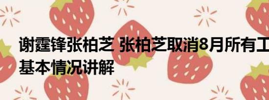 谢霆锋张柏芝 张柏芝取消8月所有工作安排 基本情况讲解