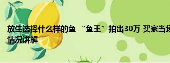 放生选择什么样的鱼 “鱼王”拍出30万 买家当场放生 基本情况讲解