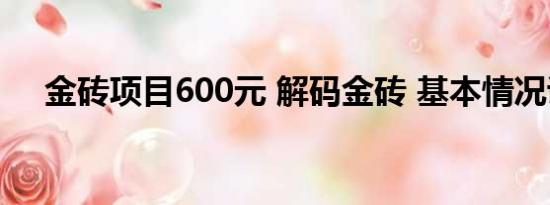 金砖项目600元 解码金砖 基本情况讲解