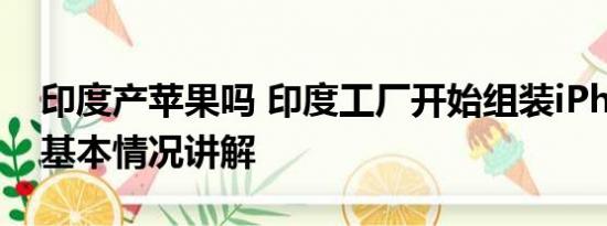 印度产苹果吗 印度工厂开始组装iPhone15 基本情况讲解