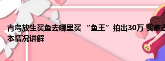 青岛放生买鱼去哪里买 “鱼王”拍出30万 买家当场放生 基本情况讲解
