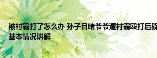 被村霸打了怎么办 孙子目睹爷爷遭村霸殴打后疑抑郁跳河 基本情况讲解