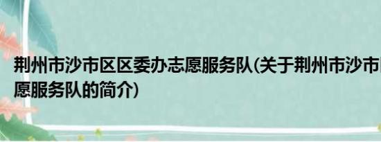 荆州市沙市区区委办志愿服务队(关于荆州市沙市区区委办志愿服务队的简介)