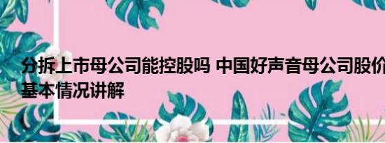 分拆上市母公司能控股吗 中国好声音母公司股价持续大跌 基本情况讲解