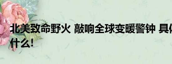 北美致命野火 敲响全球变暖警钟 具体情况是什么!