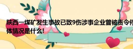 陕西一煤矿发生事故已致9伤涉事企业曾被责令停产整顿 具体情况是什么!