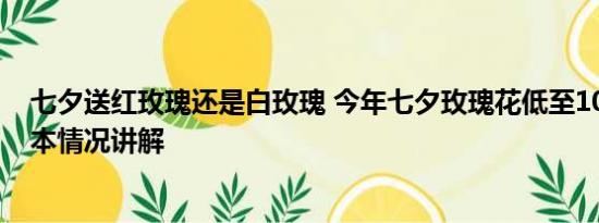 七夕送红玫瑰还是白玫瑰 今年七夕玫瑰花低至10元一扎 基本情况讲解