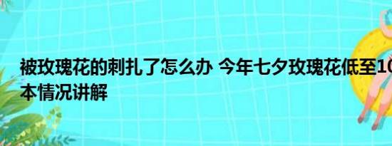 被玫瑰花的刺扎了怎么办 今年七夕玫瑰花低至10元一扎 基本情况讲解