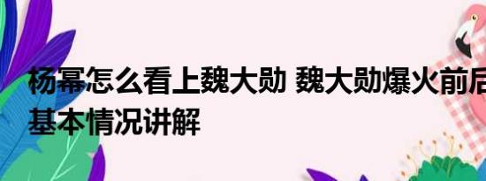 杨幂怎么看上魏大勋 魏大勋爆火前后的站位 基本情况讲解