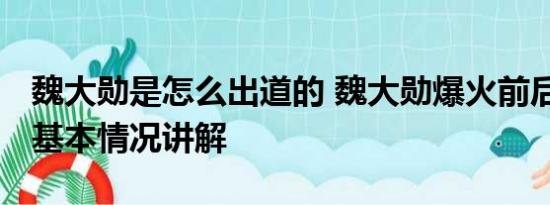 魏大勋是怎么出道的 魏大勋爆火前后的站位 基本情况讲解