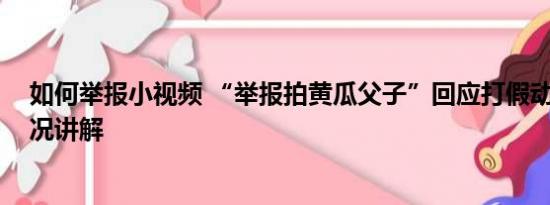 如何举报小视频 “举报拍黄瓜父子”回应打假动机 基本情况讲解