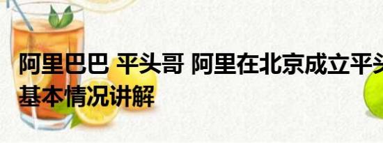 阿里巴巴 平头哥 阿里在北京成立平头哥公司 基本情况讲解