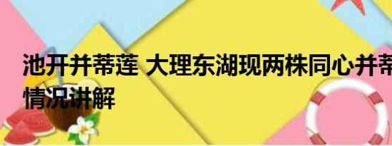 池开并蒂莲 大理东湖现两株同心并蒂莲 基本情况讲解