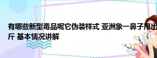 有哪些新型毒品呢它伪装样式 亚洲象一鼻子甩出毒品2.8公斤 基本情况讲解