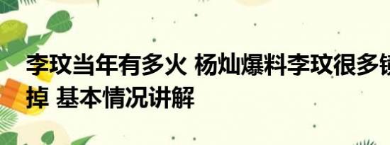 李玟当年有多火 杨灿爆料李玟很多镜头被剪掉 基本情况讲解