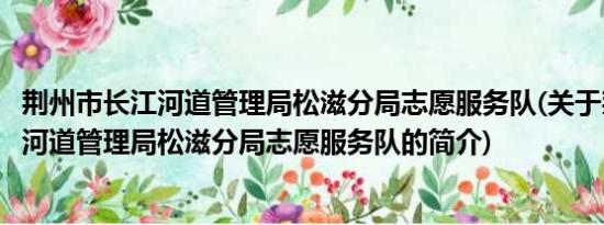 荆州市长江河道管理局松滋分局志愿服务队(关于荆州市长江河道管理局松滋分局志愿服务队的简介)