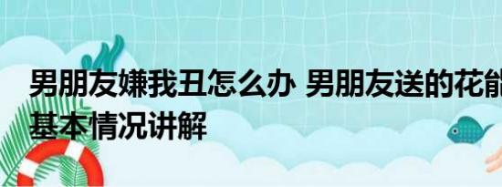 男朋友嫌我丑怎么办 男朋友送的花能有多丑 基本情况讲解