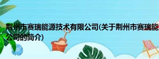 荆州市赛瑞能源技术有限公司(关于荆州市赛瑞能源技术有限公司的简介)