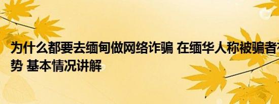 为什么都要去缅甸做网络诈骗 在缅华人称被骗者有低龄化趋势 基本情况讲解