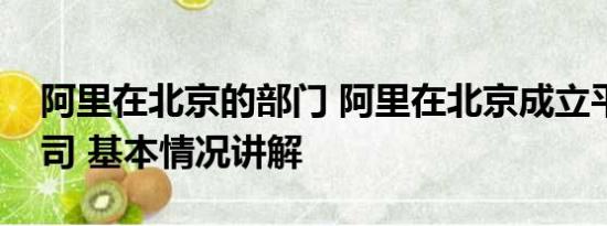 阿里在北京的部门 阿里在北京成立平头哥公司 基本情况讲解