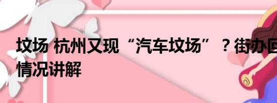 坟场 杭州又现“汽车坟场”？街办回应 基本情况讲解