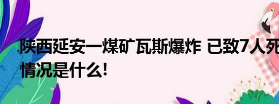 陕西延安一煤矿瓦斯爆炸 已致7人死亡 具体情况是什么!