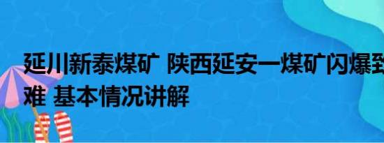 延川新泰煤矿 陕西延安一煤矿闪爆致11人遇难 基本情况讲解