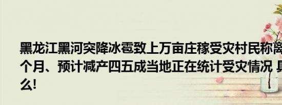 黑龙江黑河突降冰雹致上万亩庄稼受灾村民称离秋收还有一个月、预计减产四五成当地正在统计受灾情况 具体情况是什么!