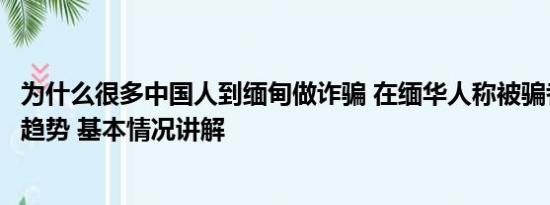 为什么很多中国人到缅甸做诈骗 在缅华人称被骗者有低龄化趋势 基本情况讲解