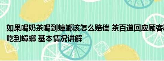 如果喝奶茶喝到蟑螂该怎么赔偿 茶百道回应顾客疑在奶盖中吃到蟑螂 基本情况讲解