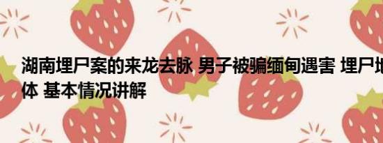 湖南埋尸案的来龙去脉 男子被骗缅甸遇害 埋尸地未找到尸体 基本情况讲解