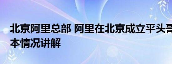 北京阿里总部 阿里在北京成立平头哥公司 基本情况讲解