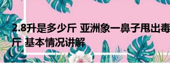 2.8升是多少斤 亚洲象一鼻子甩出毒品2.8公斤 基本情况讲解