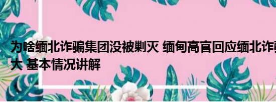 为啥缅北诈骗集团没被剿灭 缅甸高官回应缅北诈骗：媒体夸大 基本情况讲解