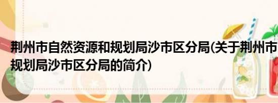 荆州市自然资源和规划局沙市区分局(关于荆州市自然资源和规划局沙市区分局的简介)